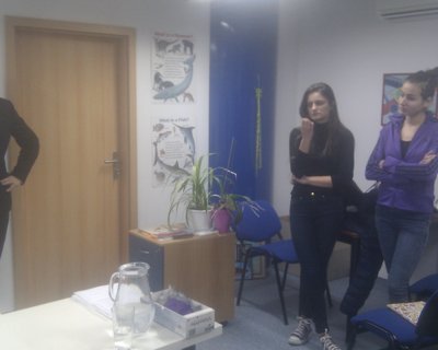 Fotografia: 10